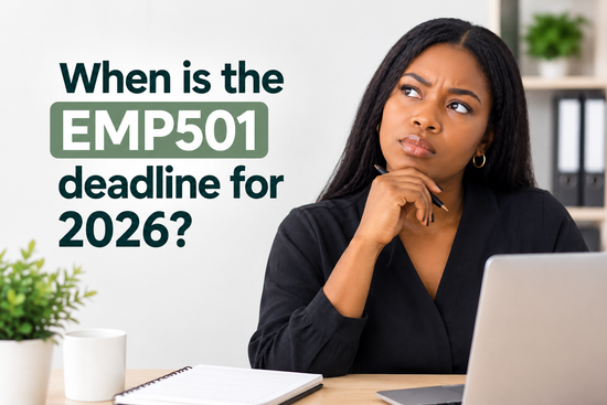 South Africa EMP501 2026: What Employers Need to Check Before the Deadline 2